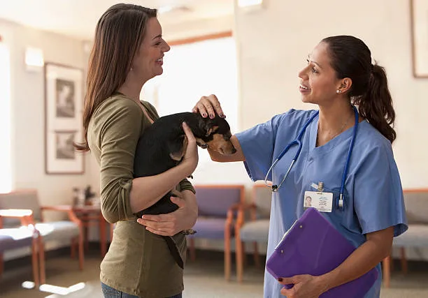 Clínica veterinária de urgência perto de mim